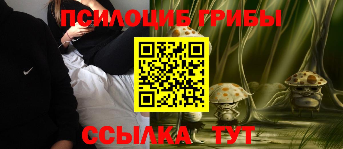 Псилоцибиновые грибы Psilocybine cubensis  Вход с VPN  Алейск 